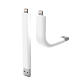 iPhone 5 Home Charger